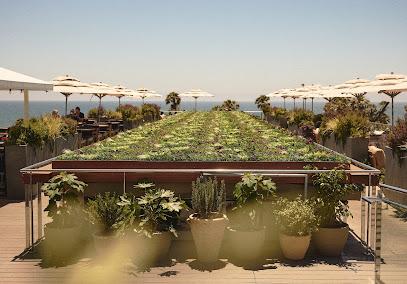 Hotel Erwin Hotels in Santa Monica – GayOut Guide