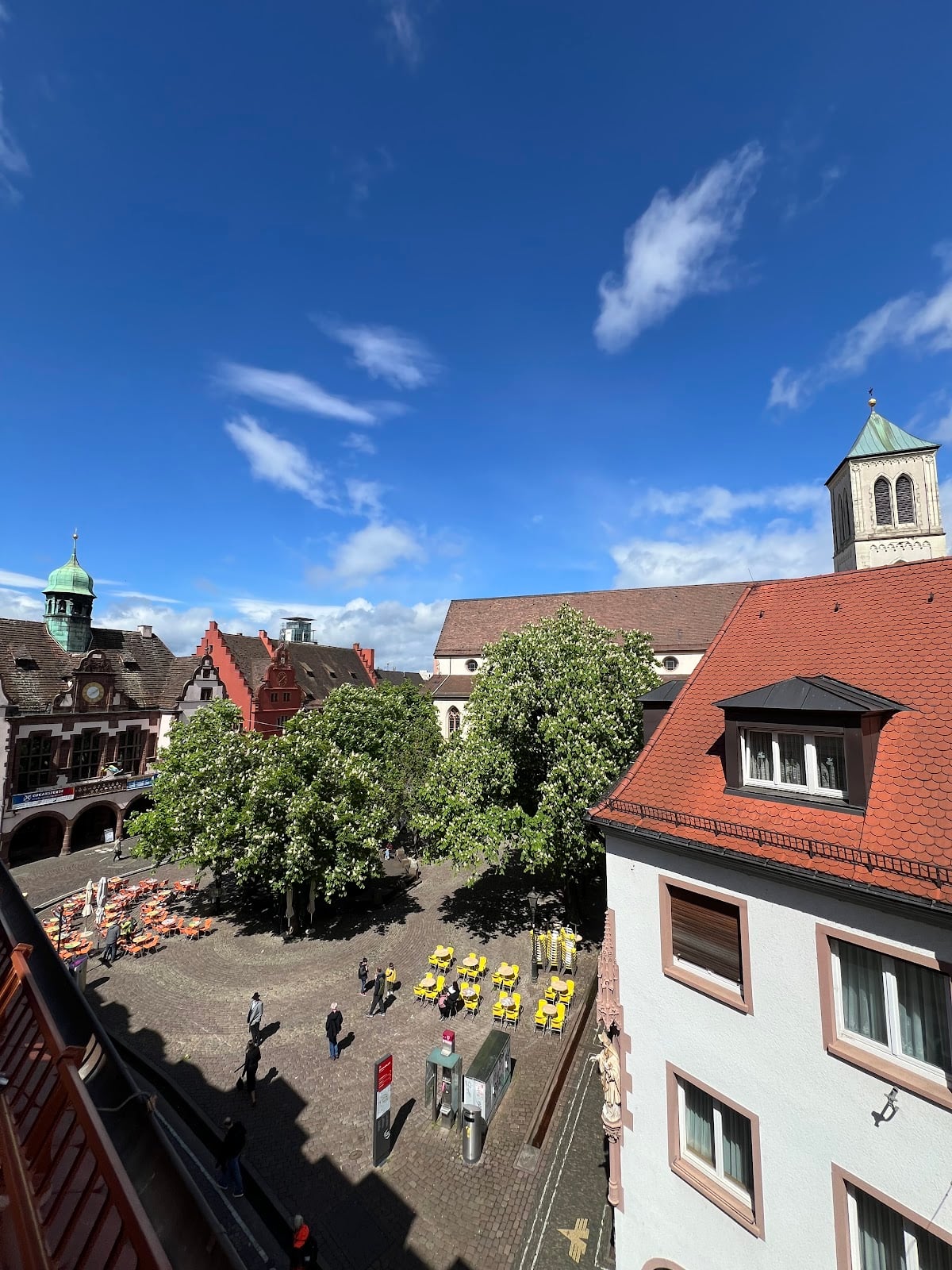 Günübirlik geziler in Freiburg