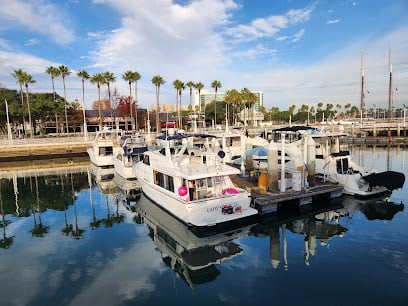 Houseboat Hotels