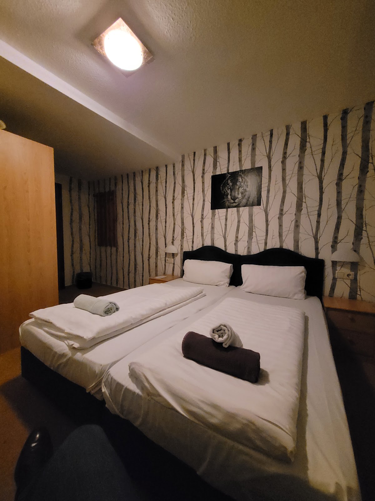 Hotel 194 Hotels in Kassel – GayOut Guide