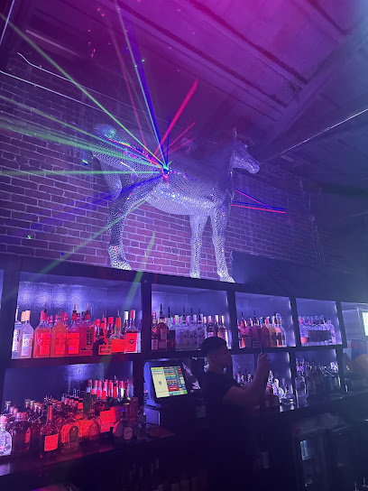 Disco Pony Nightclub Bars & Clubs in Tampa – GayOut Guide