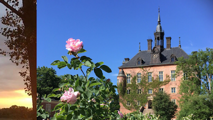 Day trips in Uppsala