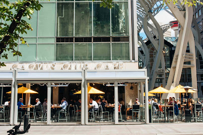 Cactus Club Cruising Areas in Wrocław – GayOut Guide