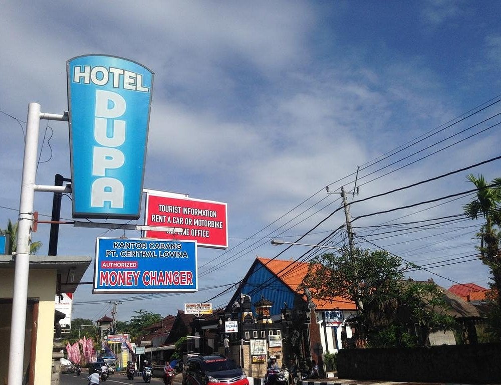 Food & wine in Bali