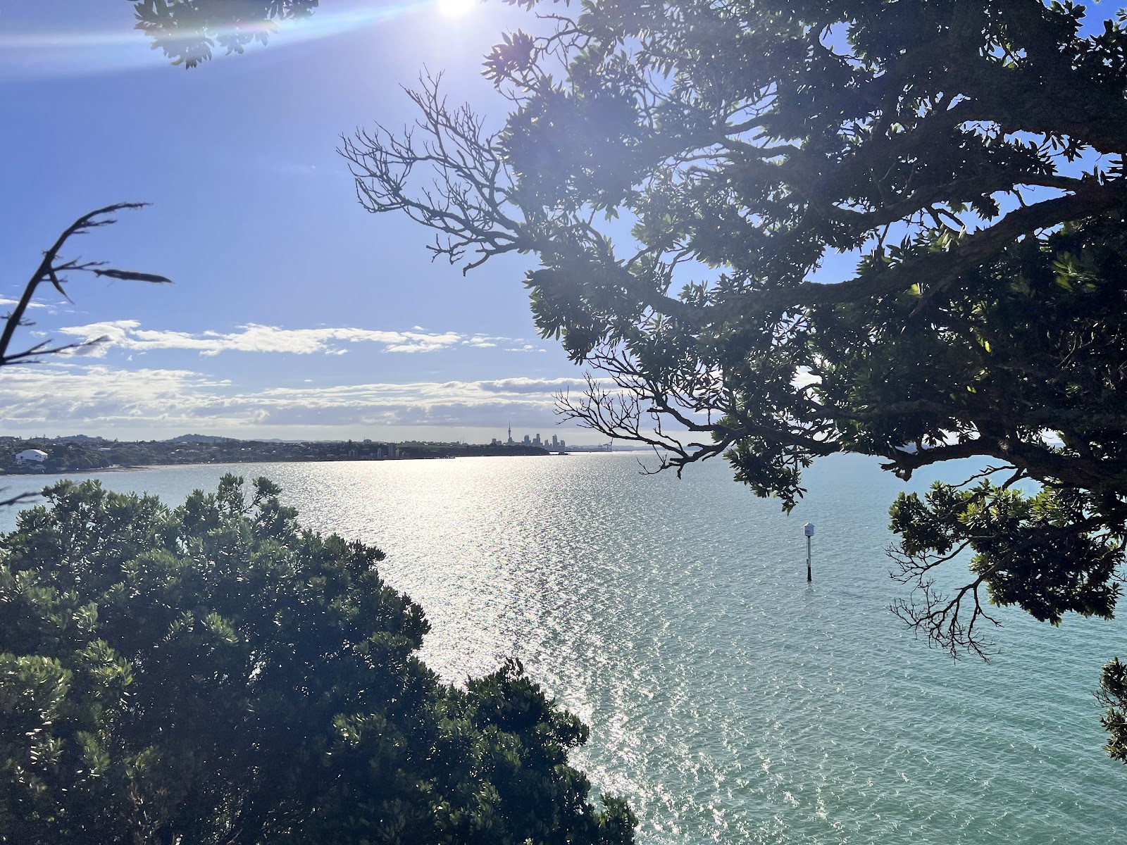 Ladies Bay Beaches in Auckland – GayOut Guide