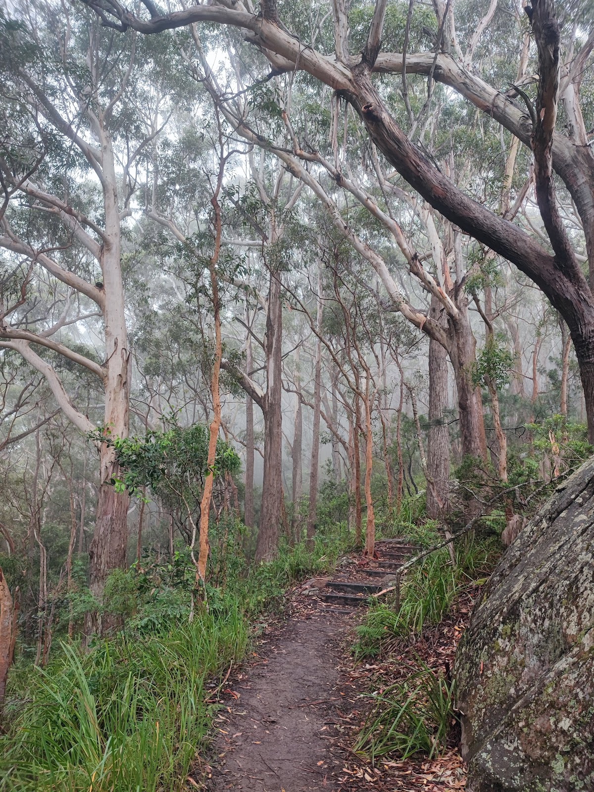 Werrong Beach Beaches in Newtown – GayOut Guide
