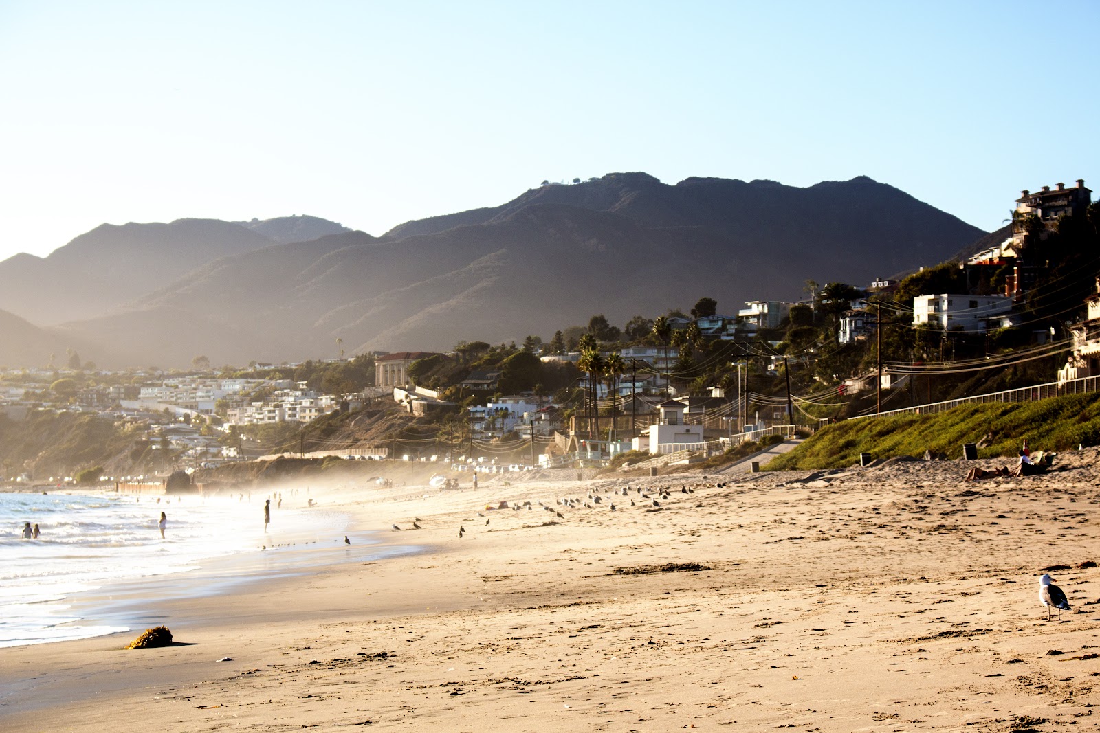 Will Rogers State Beach (Ginger Rogers)