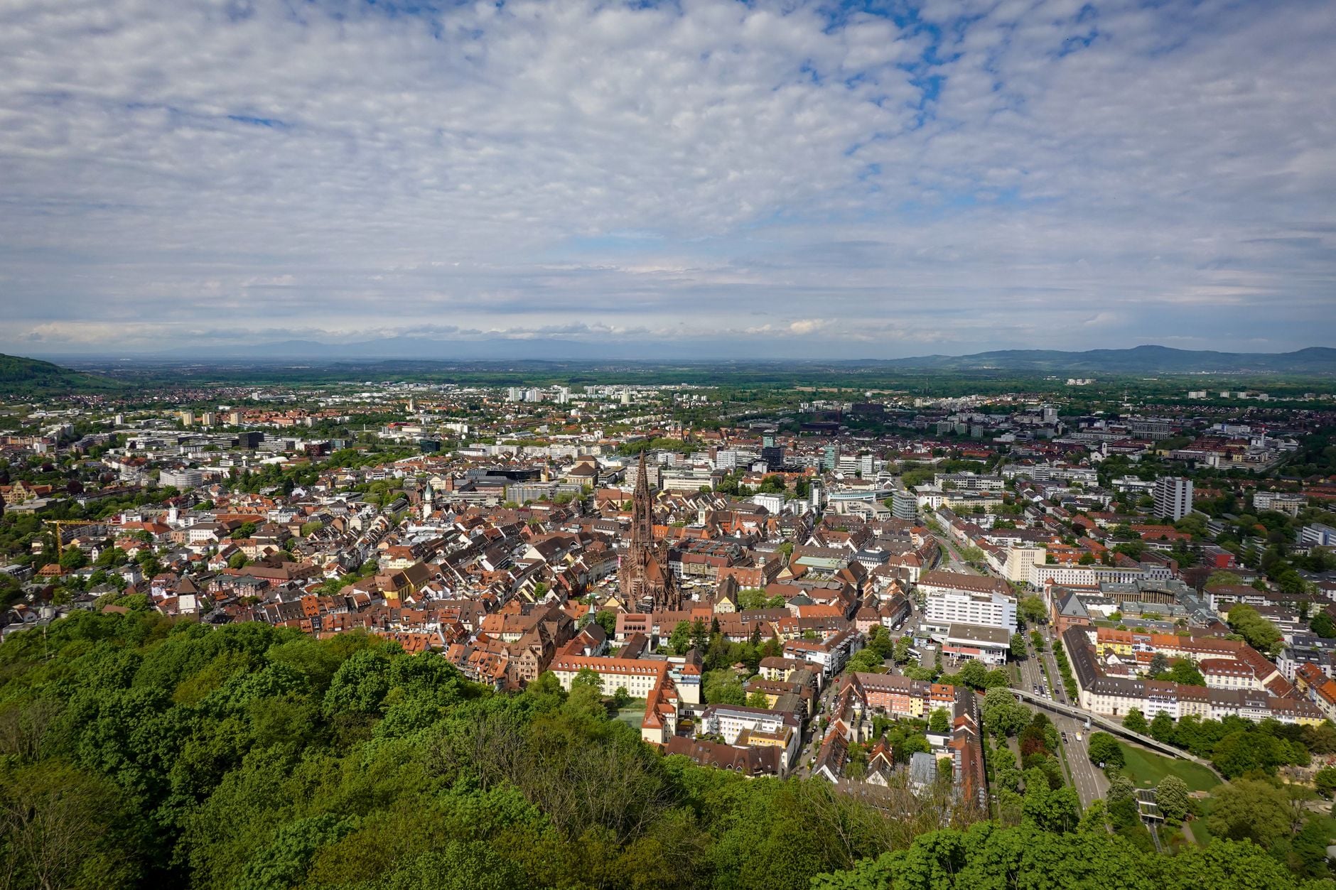 Day trips in Freiburg