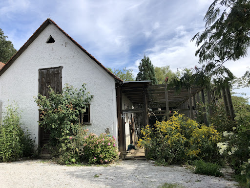 Gästehaus Hirschenhof Hotels in Graz – GayOut Guide