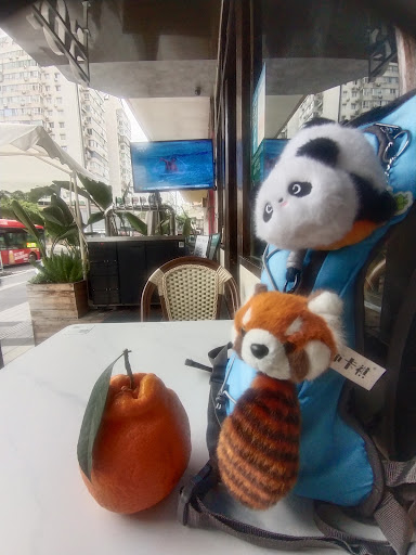 Chengdu Mix hostel Hoteles Gay-Friendly in Chengdu – GayOut Guide