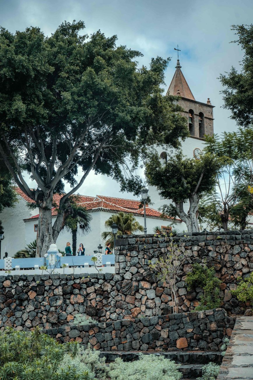 Finca Los Loros Icod de los Vinos