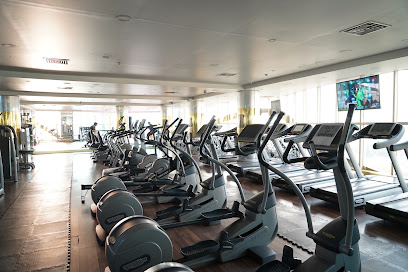 Safa Fitness Club
