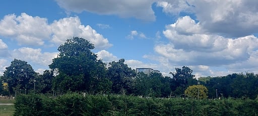 Usce Park Cruising Areas in Belgrade – GayOut Guide
