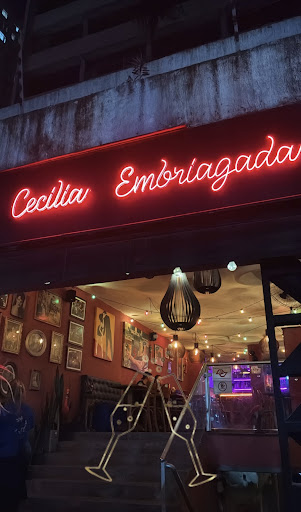 Cecília Embriagada Bars & Clubs in São Paulo – GayOut Guide