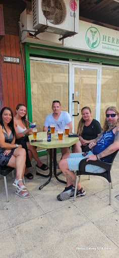 Viking Bar Bars & Clubs in Torremolinos – GayOut Guide