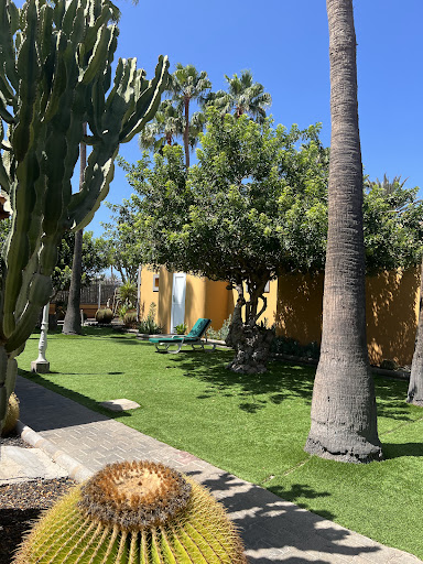 Los Almendros Beaches in Maspalomas – GayOut Guide