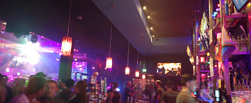 Toad Hall Bars & Clubs in San Francisco – GayOut Guide