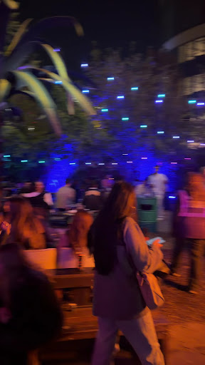 Virage Paris Bars & Clubs in Paris – GayOut Guide