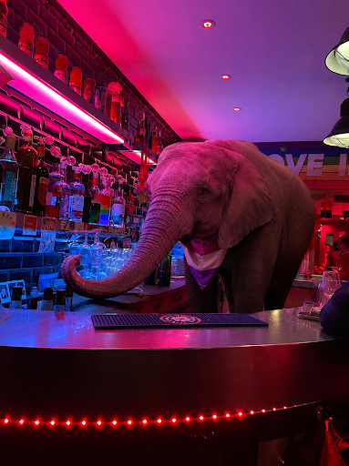 Elles Bar (bar lesbien)