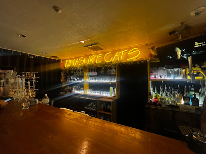 気まぐれキャッツ Bars & Clubs in Nagoya – GayOut Guide
