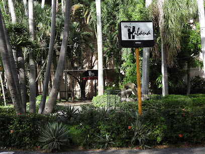 Café Cantante Mi Habana Bars & Clubs in Havana – GayOut Guide