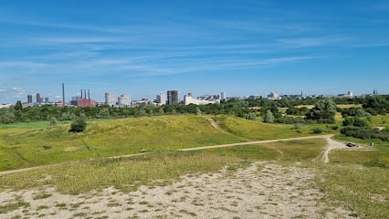 Amager Fælled Cruising Areas in Copenhagen – GayOut Guide