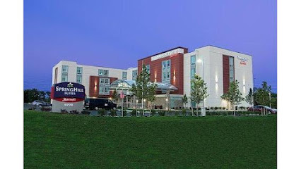 SpringHill Suites by Marriott Canton
