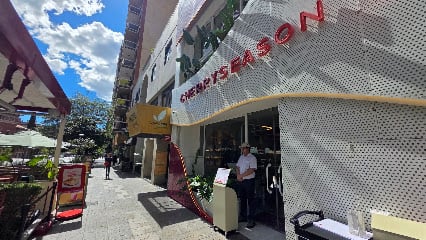 Cherry Season | Yrigoyen