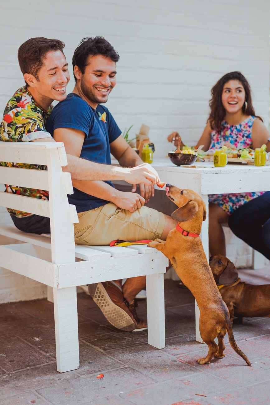 Gay & Pride tours in قرطبة