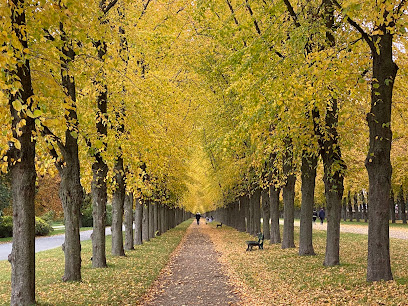 Georgengarten / Herrenhäuser Allee Cruising Areas in Hannover – GayOut Guide