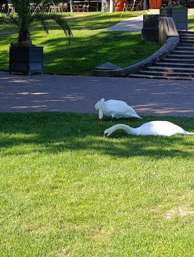 Parc de l'Orangerie (cruising) Cruising Areas in Strasbourg – GayOut Guide