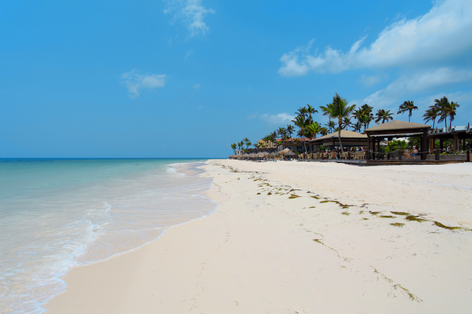 Flamingo Beach