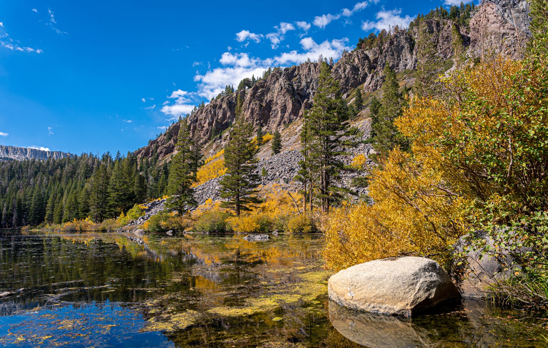 Eastern Sierra Pride