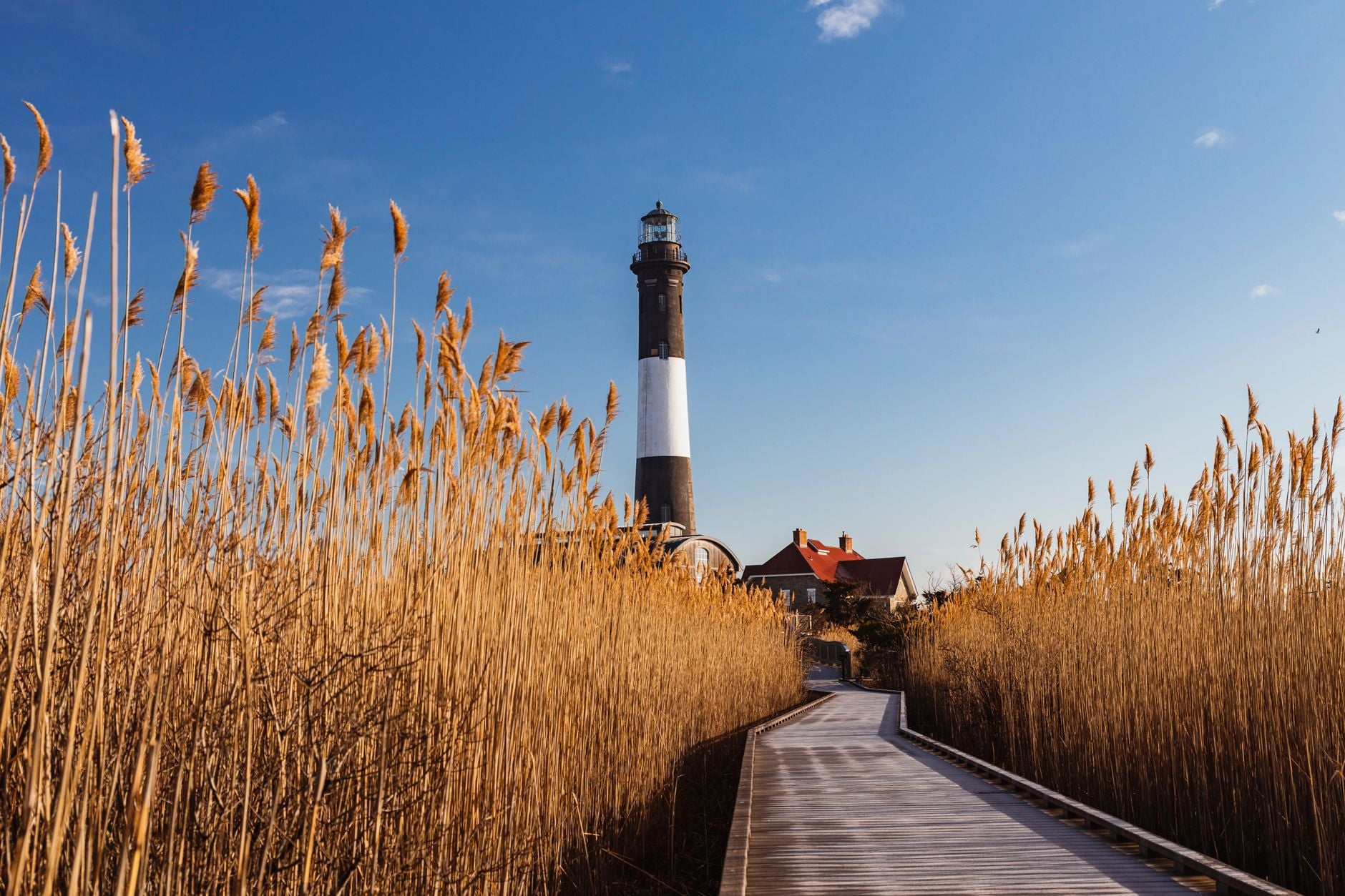 Excursions à la journée in Fire Island