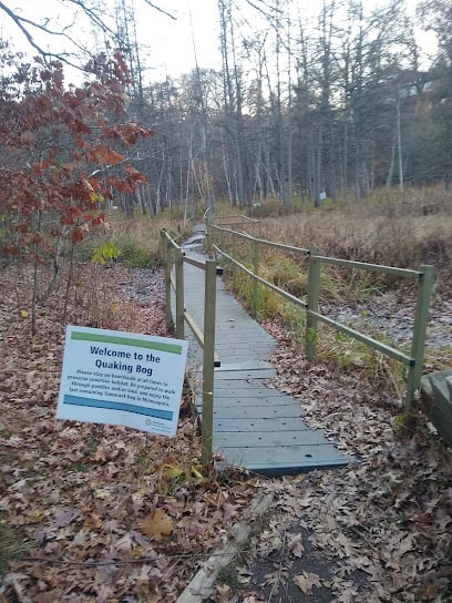 Quaking Bog — Theodore Wirth Park