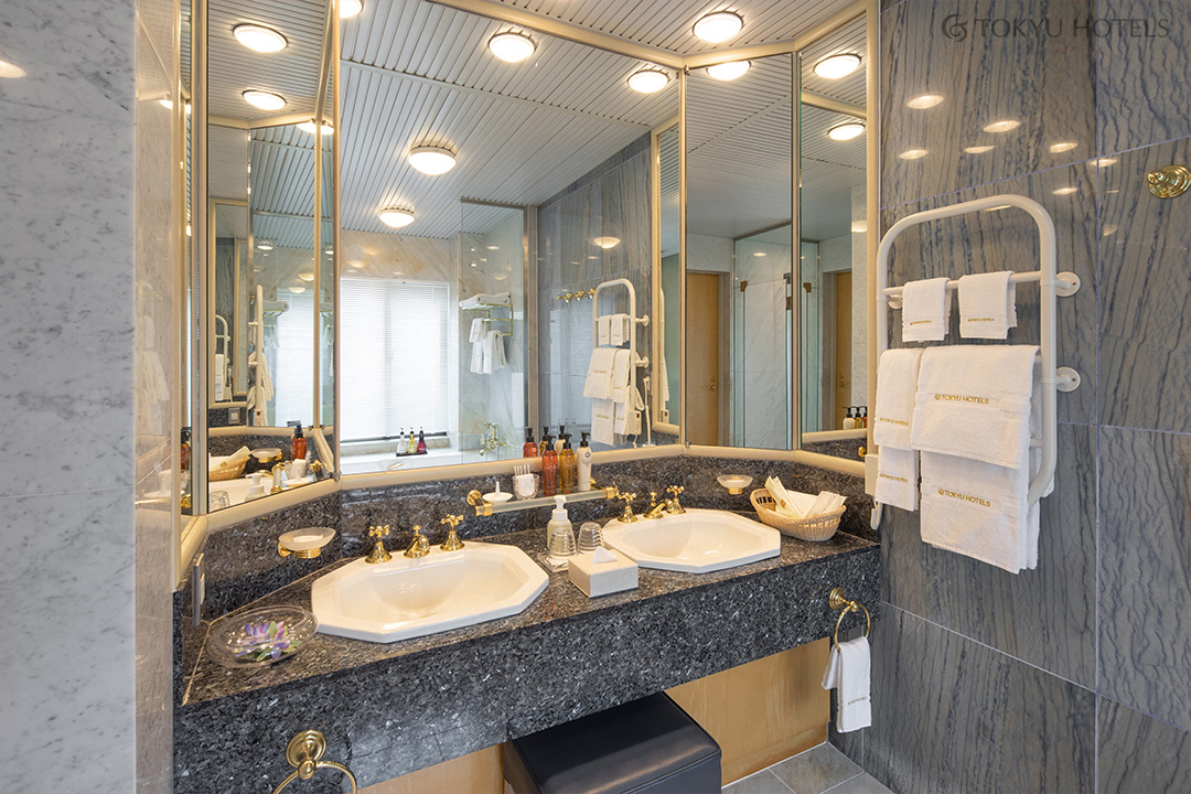 Hakuba Tokyu Hotel Hotels in Hakuba – GayOut Guide