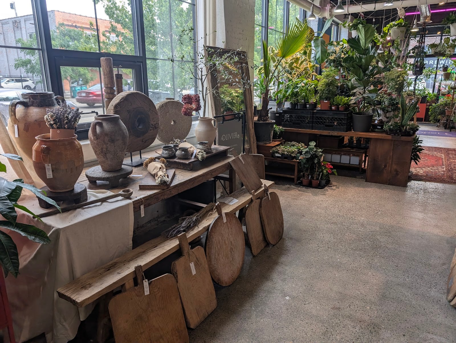 Daddy's Plants