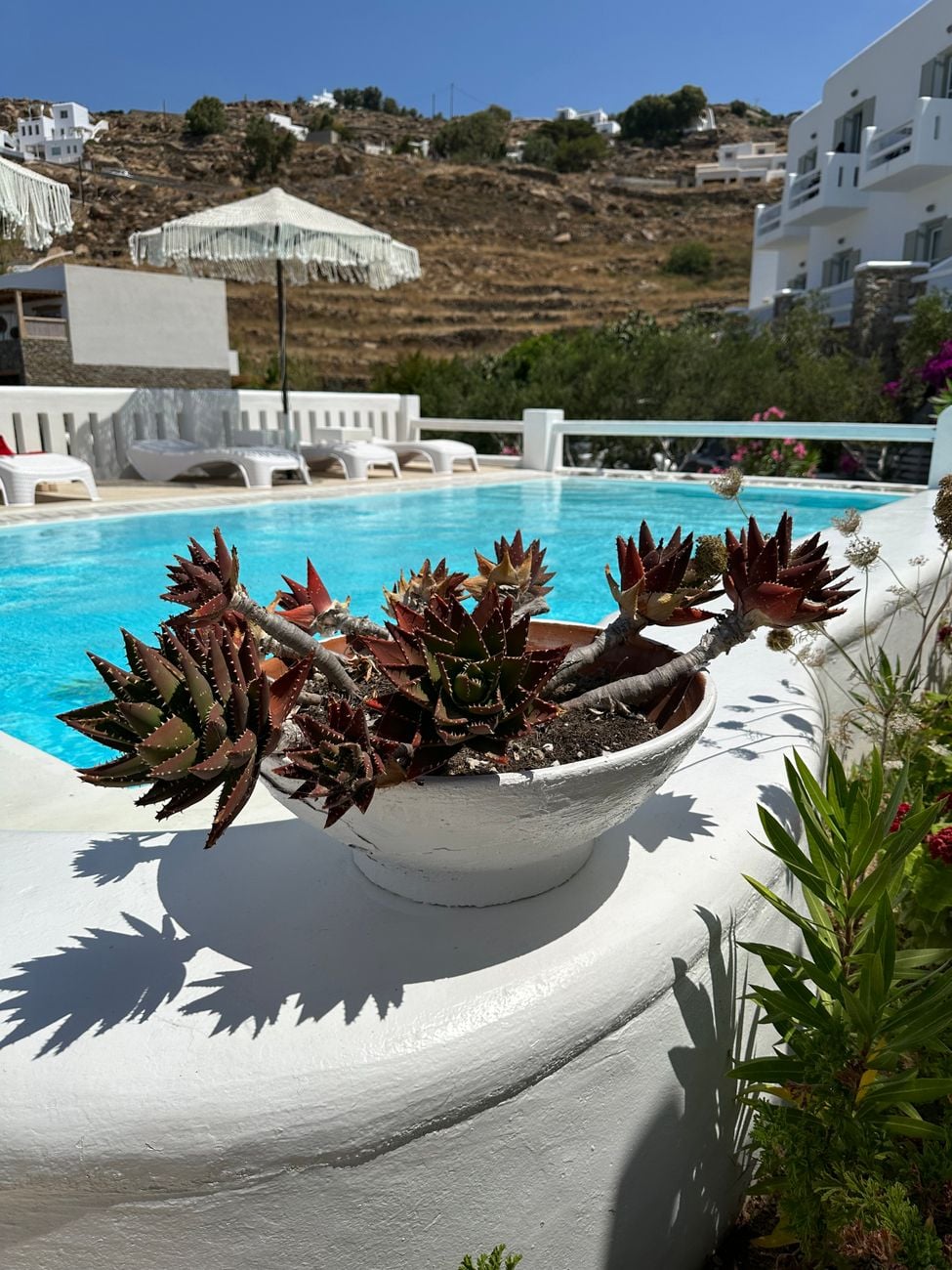 Belvedere Hotel Mykonos