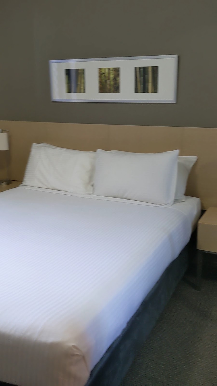Apartamento Oakwood Hotel & Hotels in Brisbane – GayOut Guide