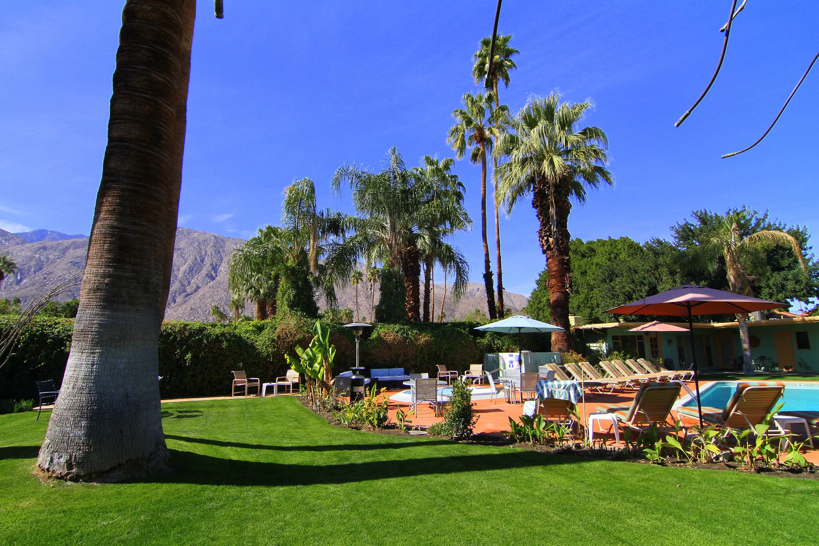 Stadtführungen in Palm Springs