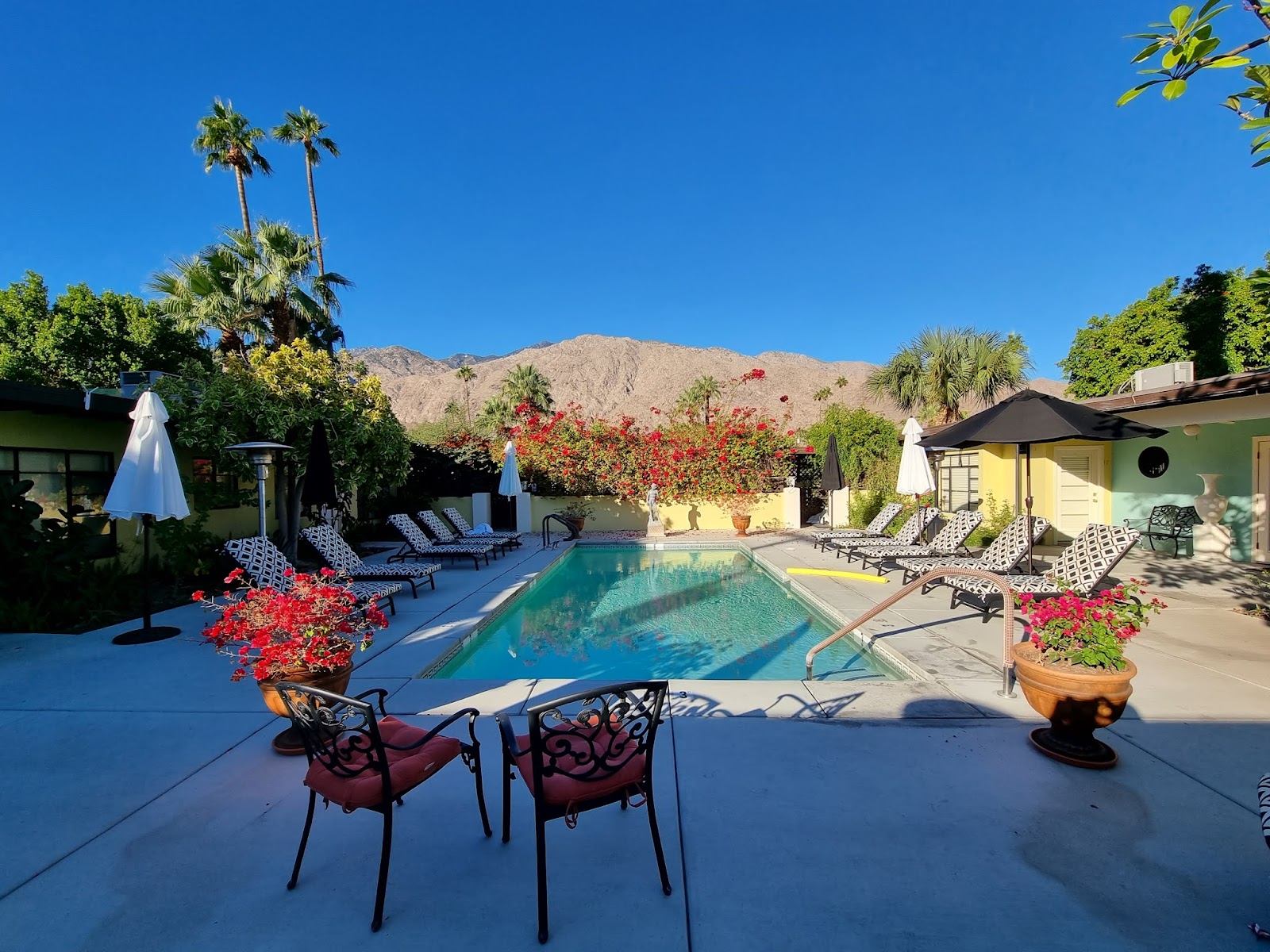 Vista Grande Resort - A Gay Men's Resort Hotels in Palm Springs – GayOut Guide