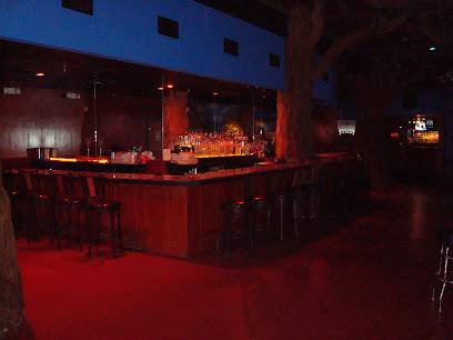 Bradleys on 7th Bars & Clubs in Tampa – GayOut Guide
