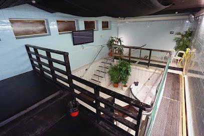 Sauna Con Hombres Saunas in Helsinki – GayOut Guide
