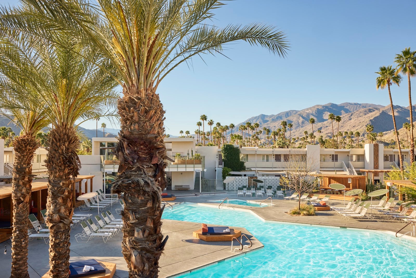Ace Hotel & Swim Club Palm Springs Hotels in Palm Springs – GayOut Guide