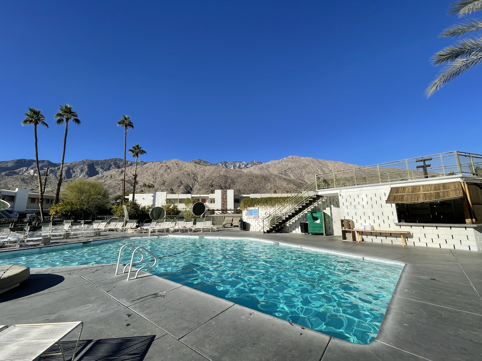 Ace Hotel & Swim Club Palm Springs Hotels in Palm Springs – GayOut Guide