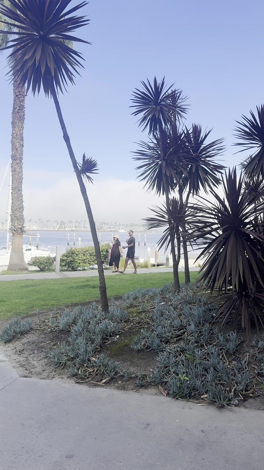 Hotel Maya Hotels in Long Beach – GayOut Guide