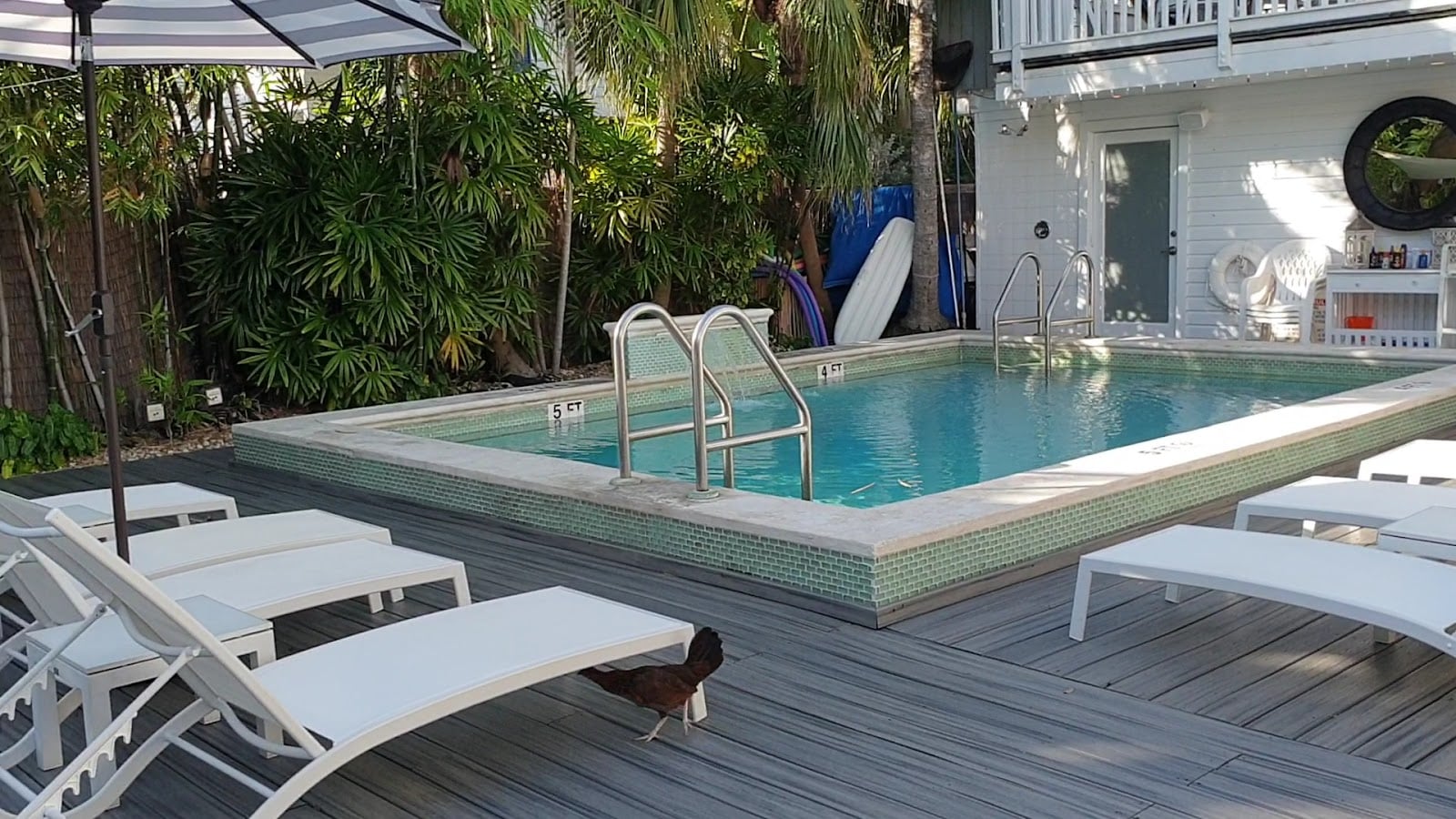 Island House Key West Hotels in Key West – GayOut Guide
