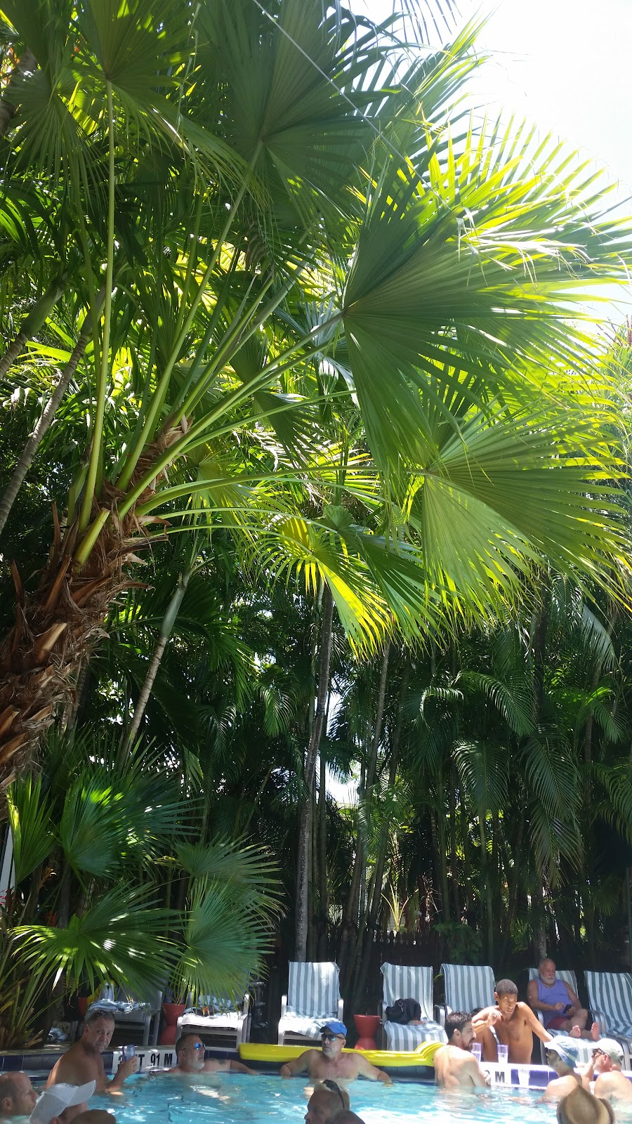 Island House Key West Hotels in Key West – GayOut Guide