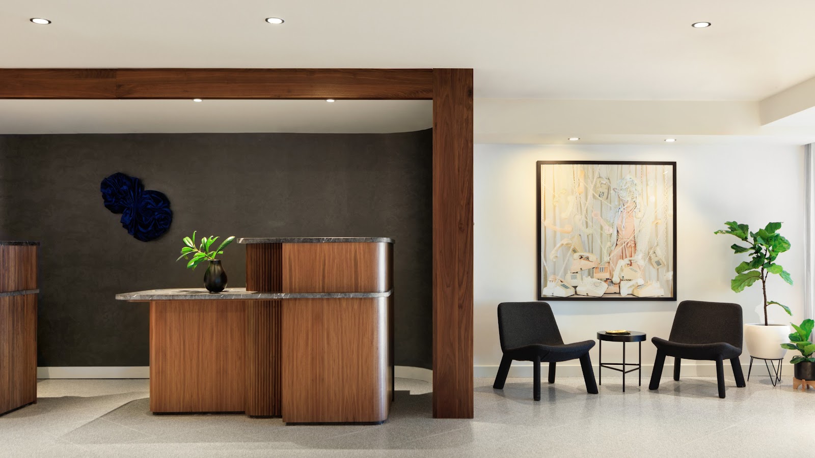 Hotel Rouge (Kimpton) Hotels in Washington DC – GayOut Guide