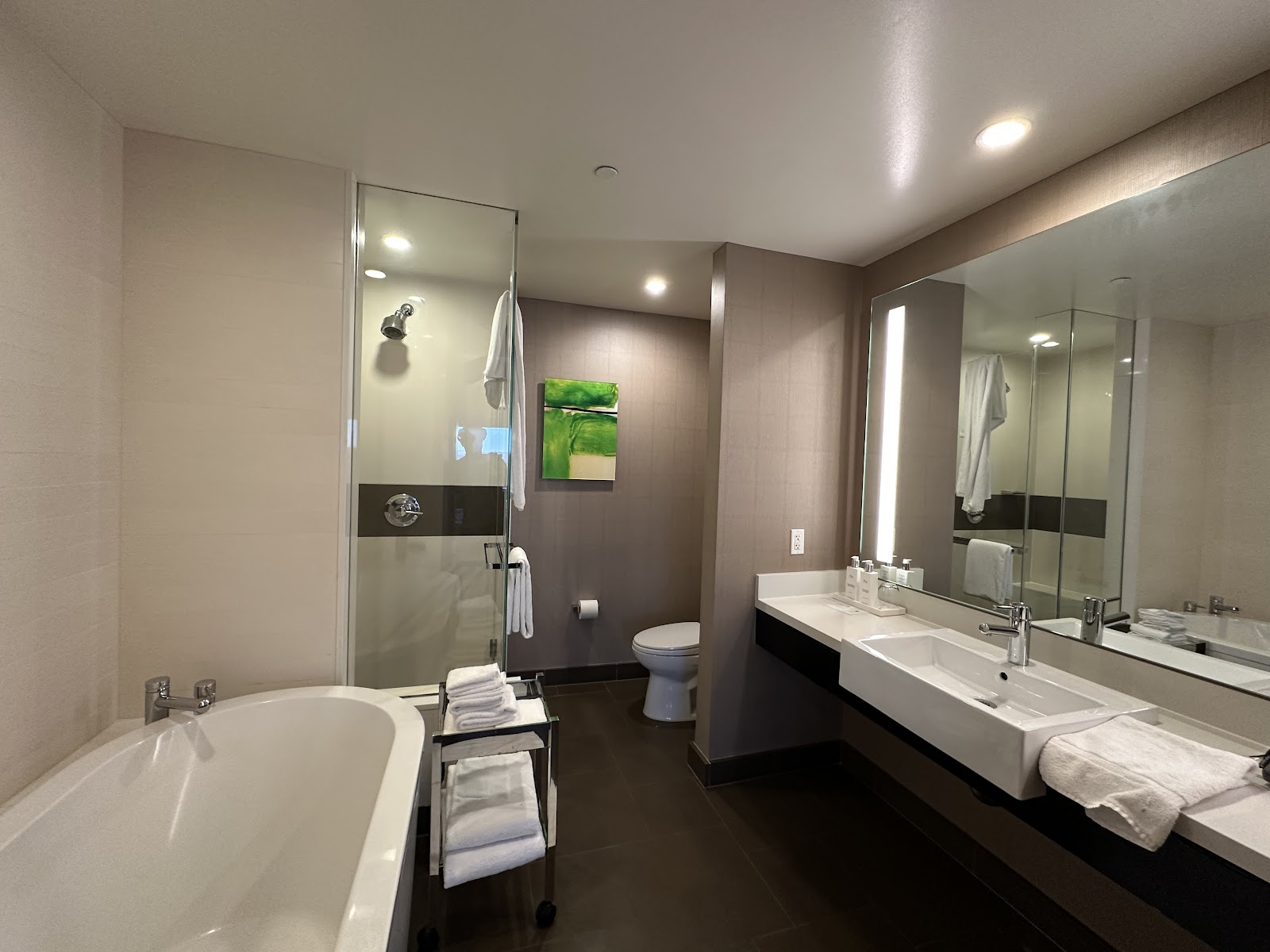 ספא Vdara Hotel & Hotels in Las Vegas – GayOut Guide